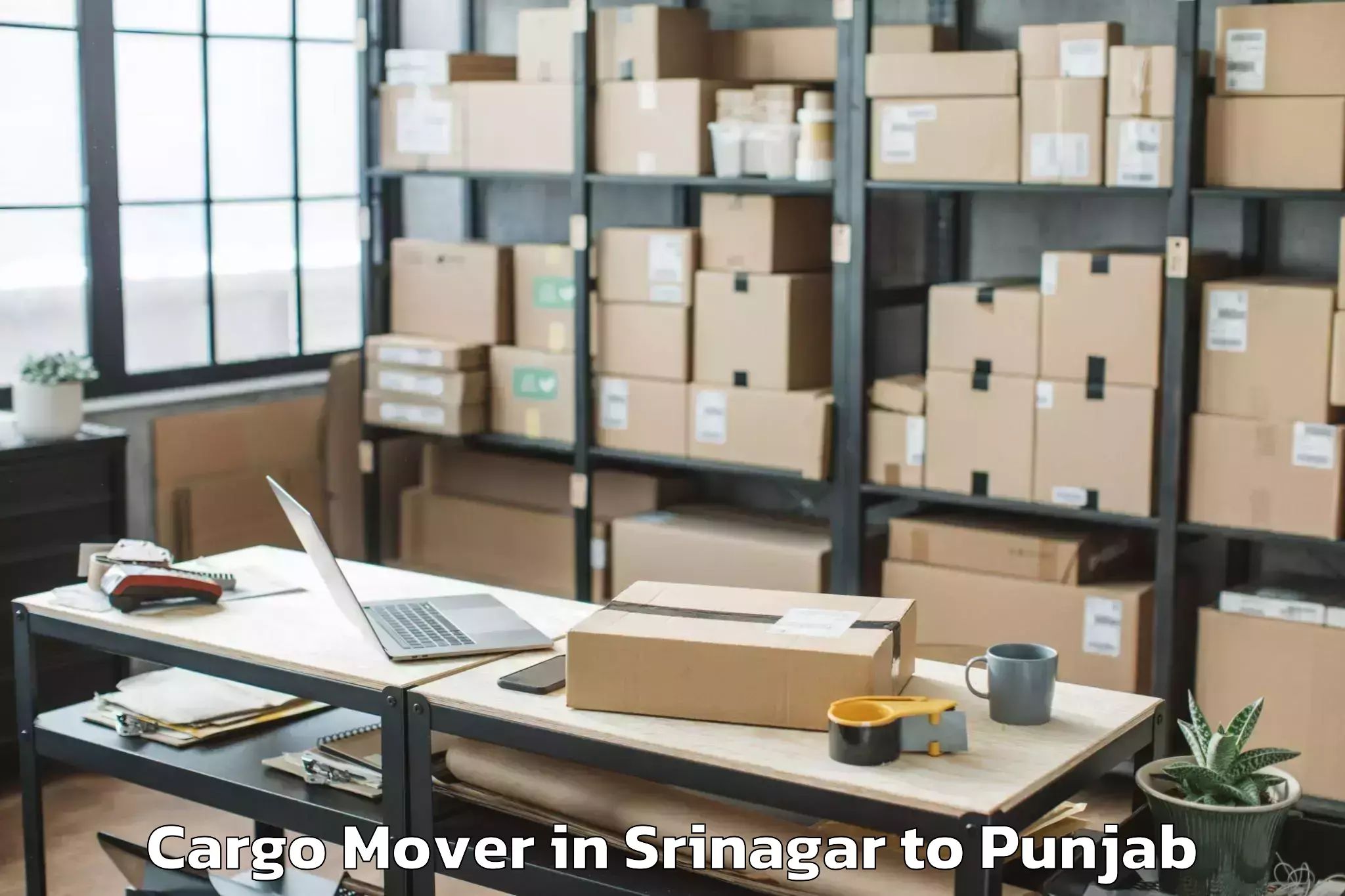 Affordable Srinagar to Mohali Cargo Mover